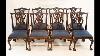 Chippendale Dining Chairs Mahogany Ball And Claw