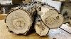 See The Beauty Inside This Log Wood Turning