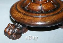 Sublime William IV Rosewood Spiral Base Tripod Side Table Lion Hairy Paw Feet