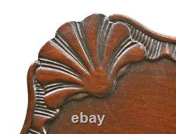 Superb Antique Carved Mahogany Square Tilt Top Chippendale Style Sea Shell Table